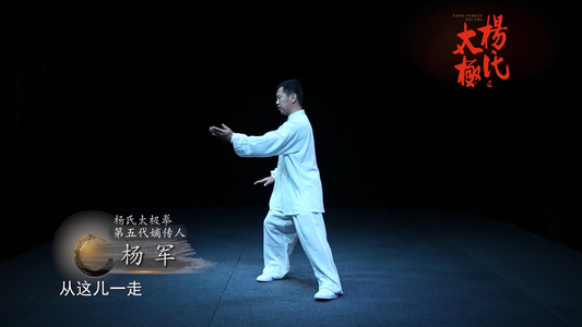 Courses Taichi: Yang style Tai Chi classic large frame HD (recommended)