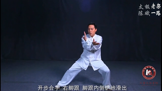Courses Taichi: Chen Style Tai Chi Seventy-Four Postures HD
